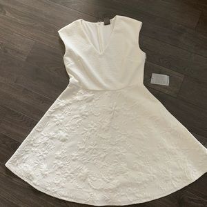 Women’s Taylor Dress